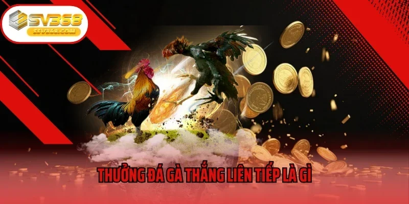 Thưởng đá gà thắng liên tiếp tại SV368 là gì