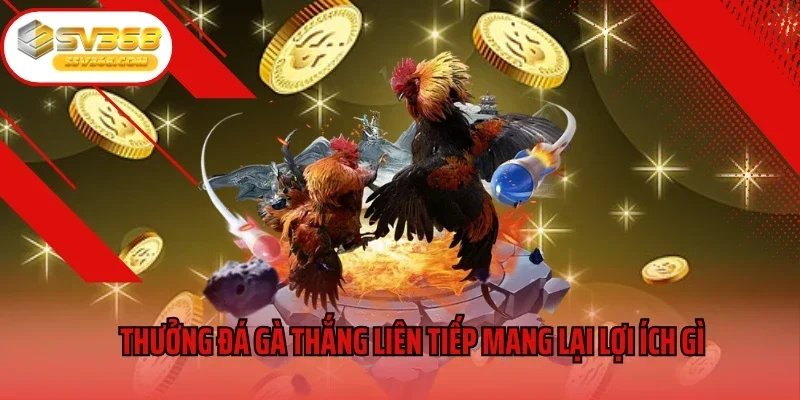 Thưởng đá gà thắng liên tiếp mang lại lợi ích gì